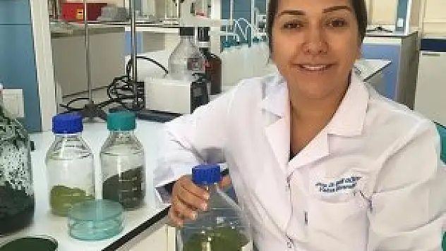 'Yosunlu' yoğurt ve peynir üretilecek