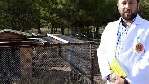 Yerli tavuk ATAK-S'nin yumurta performansı ölçülecek