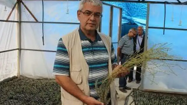 Karapınar'da kurak alanlar ekonomiye kazandırılacak