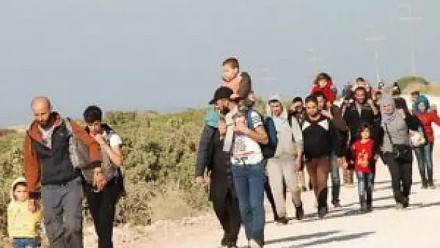 Aydın'da 210 göçmen yakalandı