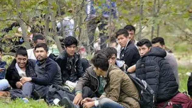 Kaçakları 'İzmir' diye Bursa'ya bıraktılar