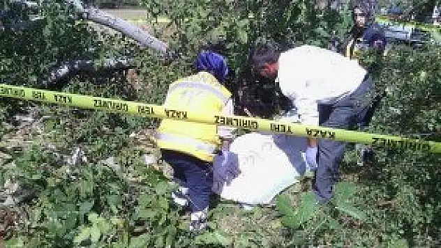 Kestiği ceviz ağacının altında kalarak can verdi