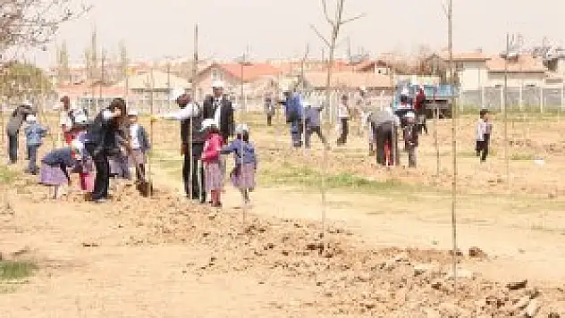 Karatay, yapılan ağaçlandırma çalışmalarıyla daha yeşil