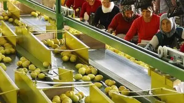 Limon bu yıl da cep yakacak