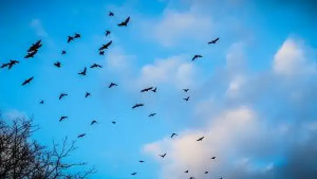 Dudaklarının kenarında, kuşlar kanat çırpardı