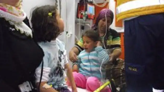 Yedikleri ottan hastanelik oldular