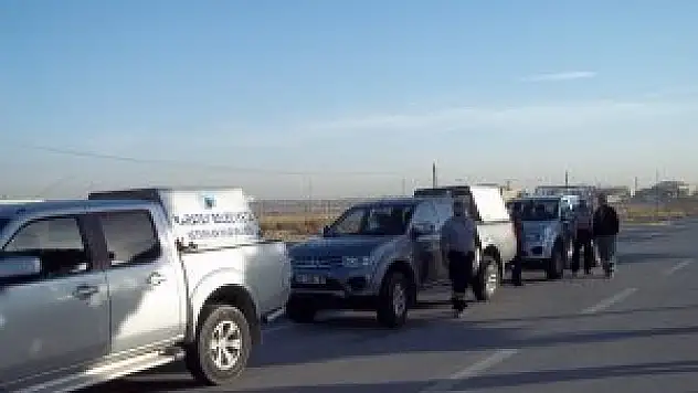 Karatay'da sahipsiz  köpekler toplanıyor
