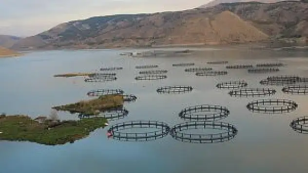 Yüzen Adalar ziyaretçilerini bekliyor