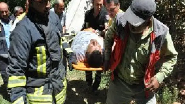 Akşehir'de iki tır çarpıştı: 2 yaralı