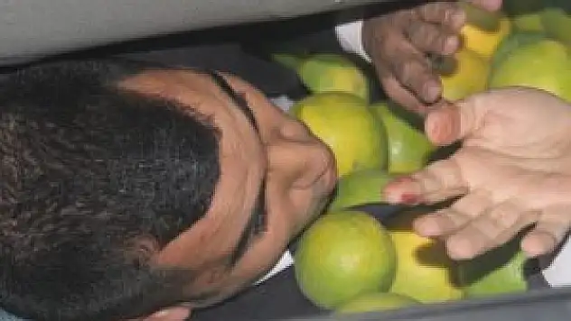 Portakallar arasında can pazarı