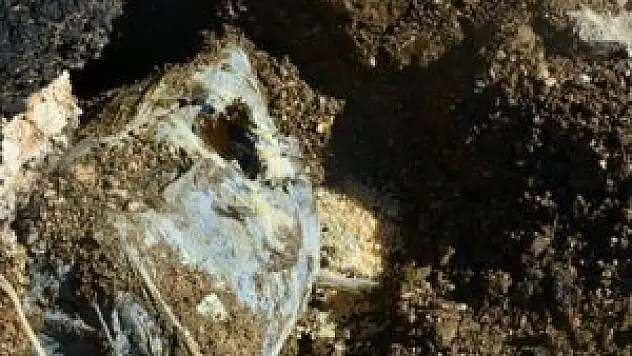 Askere hain tuzak son anda fark edildi!