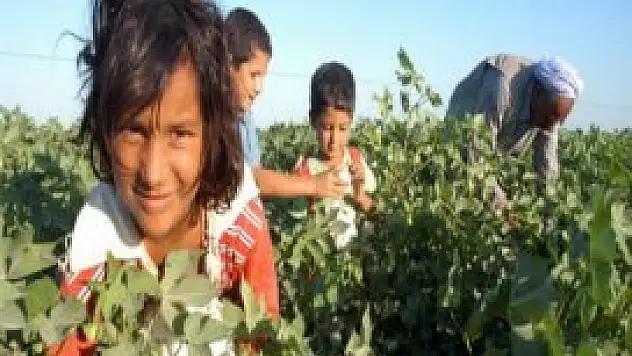 12 Haziran Dünya Çocuk İşçiliği ile Mücadele Günü