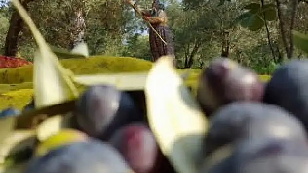 Bursa Ticaret Borsasında işlem hacmi