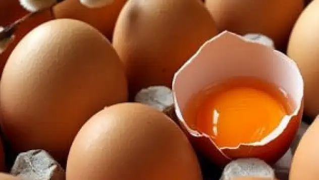 Tavuk yumurtası üretimi Eylül'de arttı!