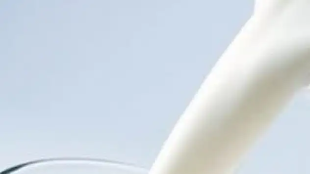 Toplanan inek sütünde artış!