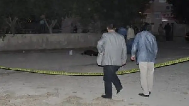 Ablasından boşanan eniştesini öldürdü