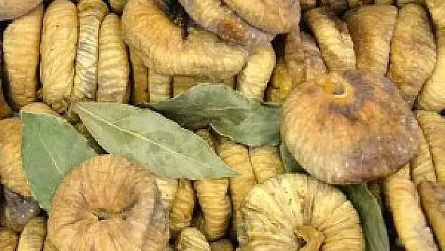 Aflatoksinli kuru incirler imha ediliyor