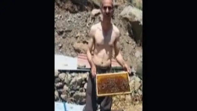 Şemdinli'de arıcılık yapan çiftçinin hazin sonu