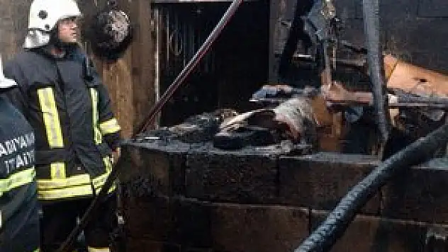 Ahır yangınında, 3 küçükbaş hayvan telef oldu