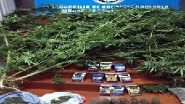 Narkotim'den uyuşturucu satıcılarına darbe