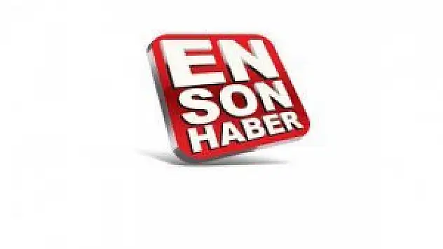 Yavuz hırsız ev sahibini bastırmaya çalıştı