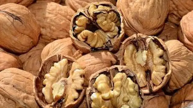 Türkiye'ye 11 tır kaçak ceviz ve fıstık getirildi