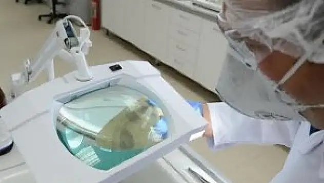 Ebola ile mücadele Resmi Gazete'de