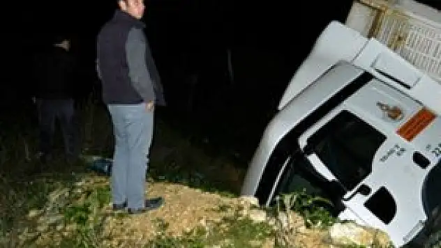 Köpeğin hayatı için canını hiçe saydı