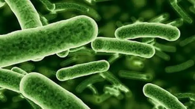 Uzmanlar korkuyor: 'Tedavi edilemeyecek'