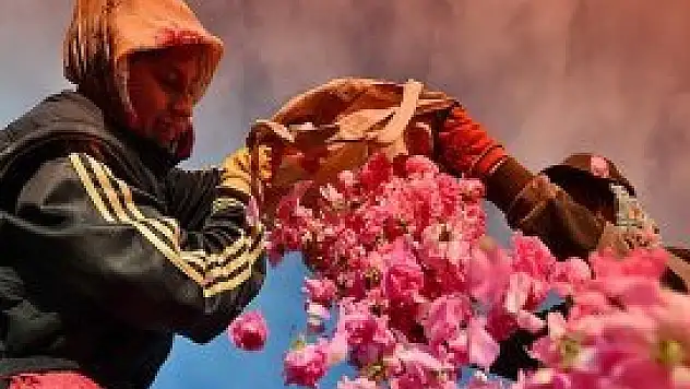 Her şey 4 ton gülden 1 kilo yağ elde etmek için