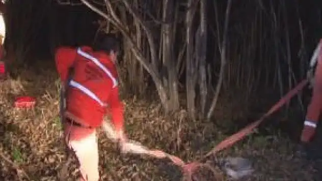 1 hektar alan kül oldu!