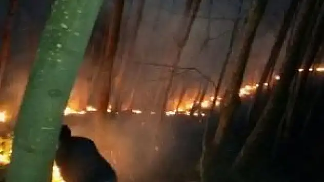 Ordu'da çıkan orman yangını korkuttu