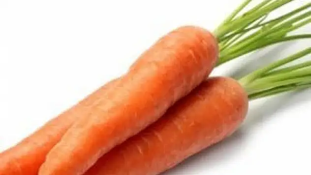 Havuçta hasat zamanı