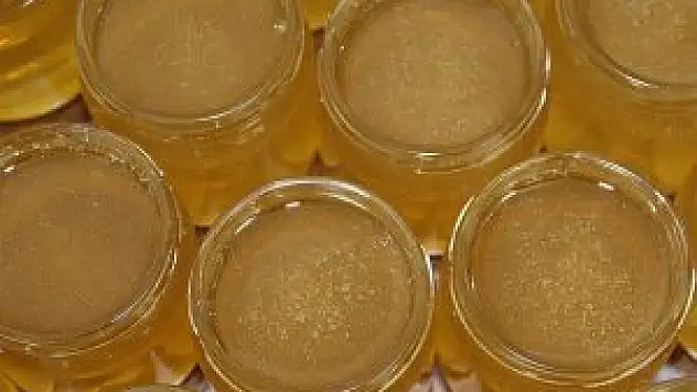 Dünyanın çam balını Türkiye üretiyor