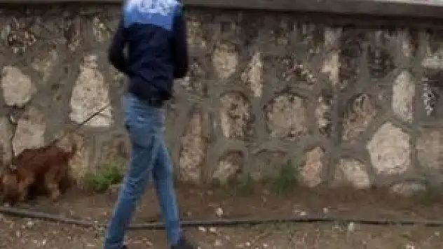 Narkotik köpeğiyle uyuşturucu araması