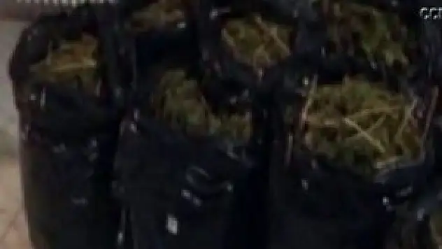 Eskişehir'de 400 bin TL'lik esrar ele geçirildi