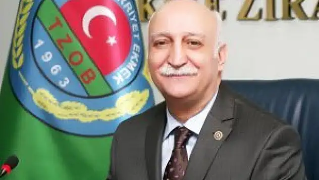 Zeytinde hasat zamanı