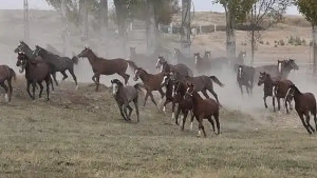 Sultansuyu'nu tay satışı ayakta tutuyor