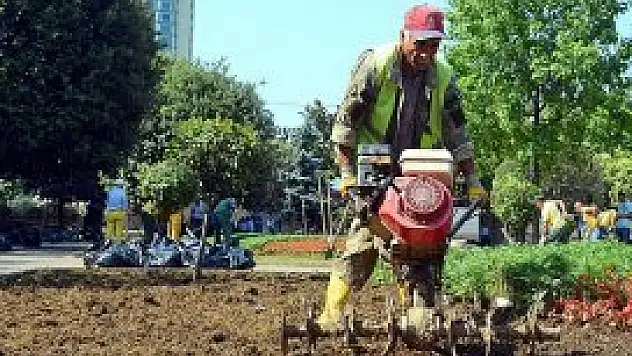 Gezi Parkı çiçek açtı