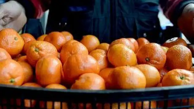 'Rusya krizine karşı meyve suyu sektörü göreve hazır'