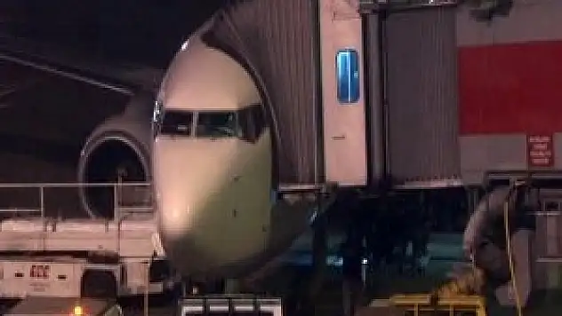 Uçak pistteki köpeğe çarptı! Hava trafiği aksadı