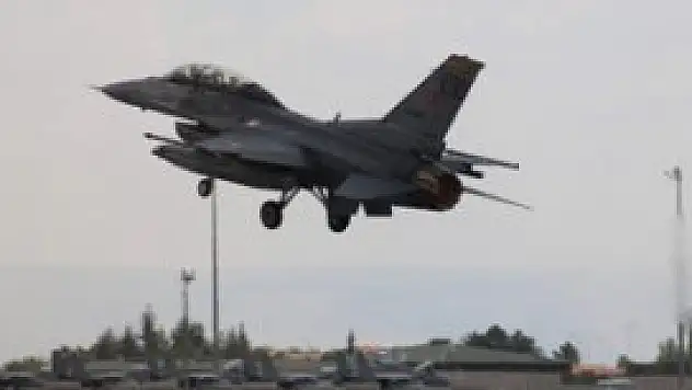 Anadolu Kartalı Eğitimi