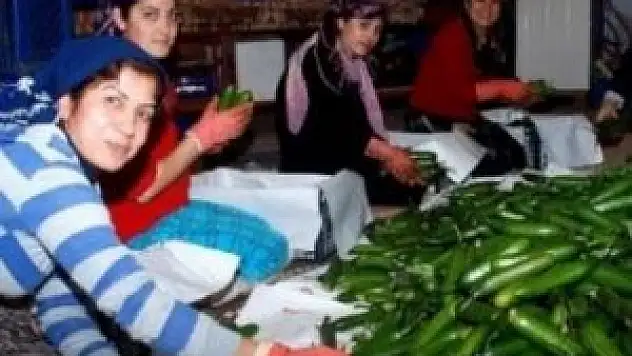 Fiyatı 2 lira 20 kuruştan 10 kuruşa düştü