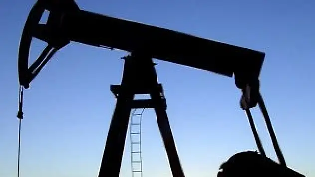 TPAO iki yerde daha petrol arayacak