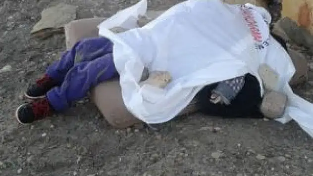 Yeni bir Aylan bebek faciası