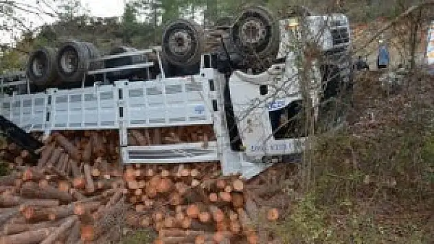 Tomruk yüklü TIR devrildi: 2 yaralı