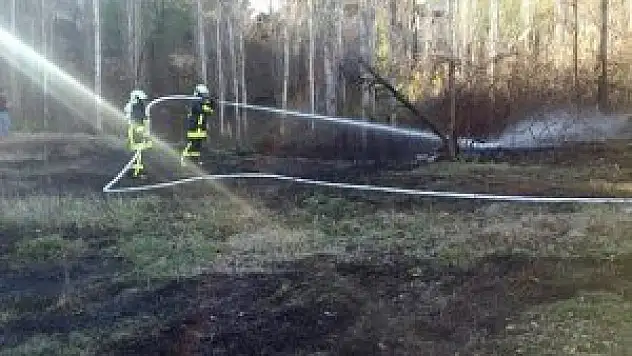 Yaşlı kadın yanarak can verdi