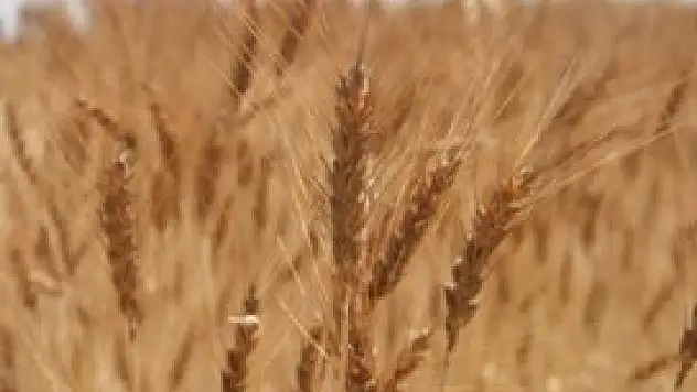 Çiftçinin cebi artık dolacak