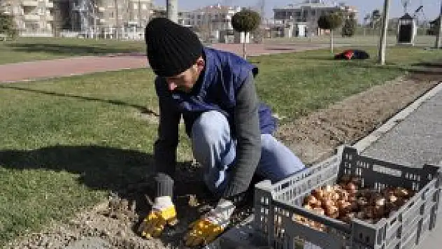 Karatay baharı rengarenk karşılayacak