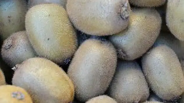 '1 adet kivi 1 kilogram portakala denk'